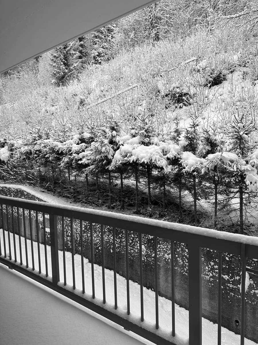 Snow-covered young spruces on the slope, seen past a balcony railing